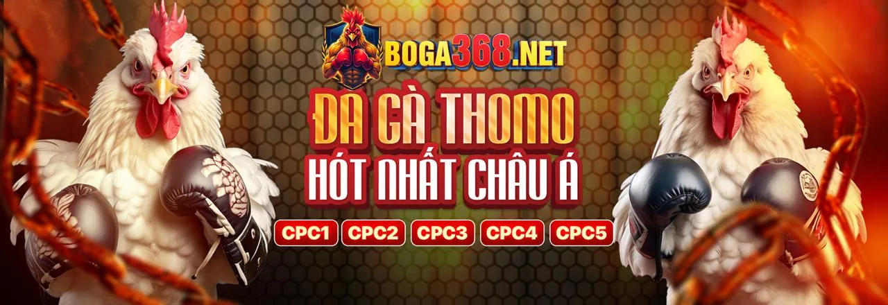 Đấu trường đá gà trực tuyến kịch tính tại 88xeng casino